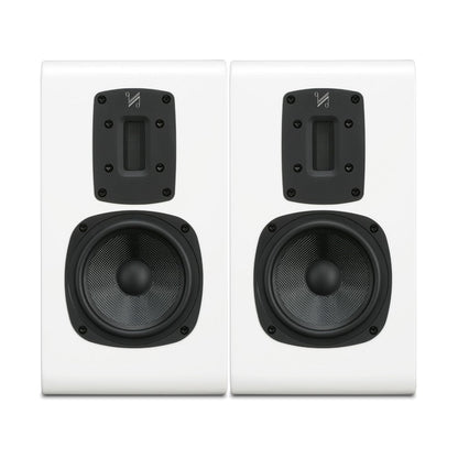 Quad S-2 DEMO (Black Wood)